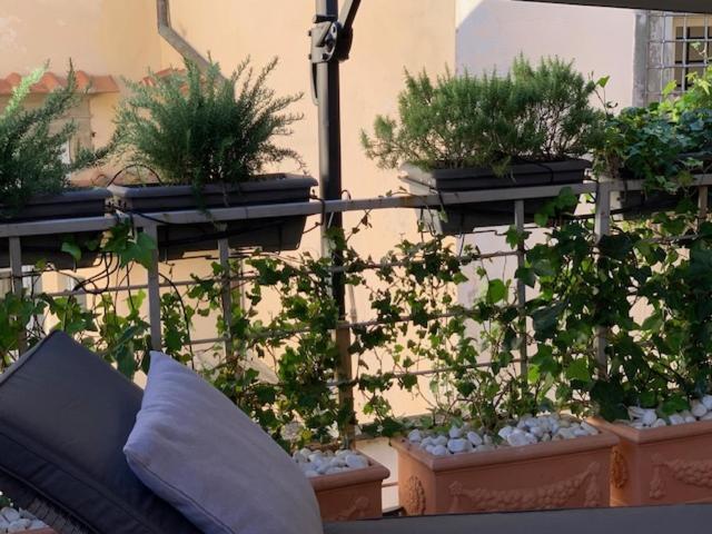 La Terrazza Del Duomo A Pistoia Apartment Exterior photo